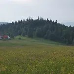 Widokowa