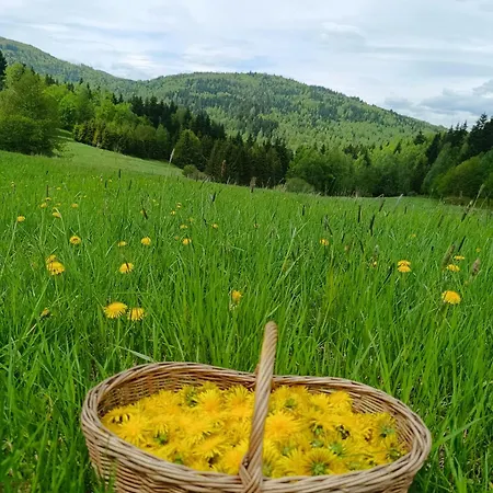 Widokowa Korbielów