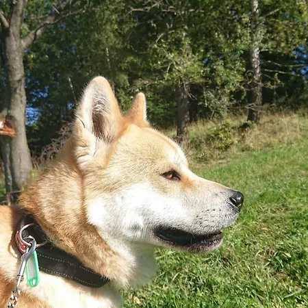 Widokowa * Korbielow