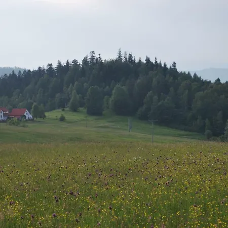 Widokowa