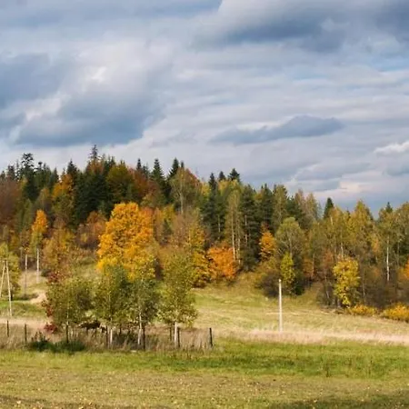 Widokowa *
